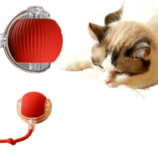 Automatic Interactive Ball