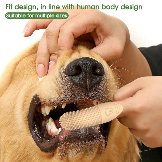 Pet Toothbrush